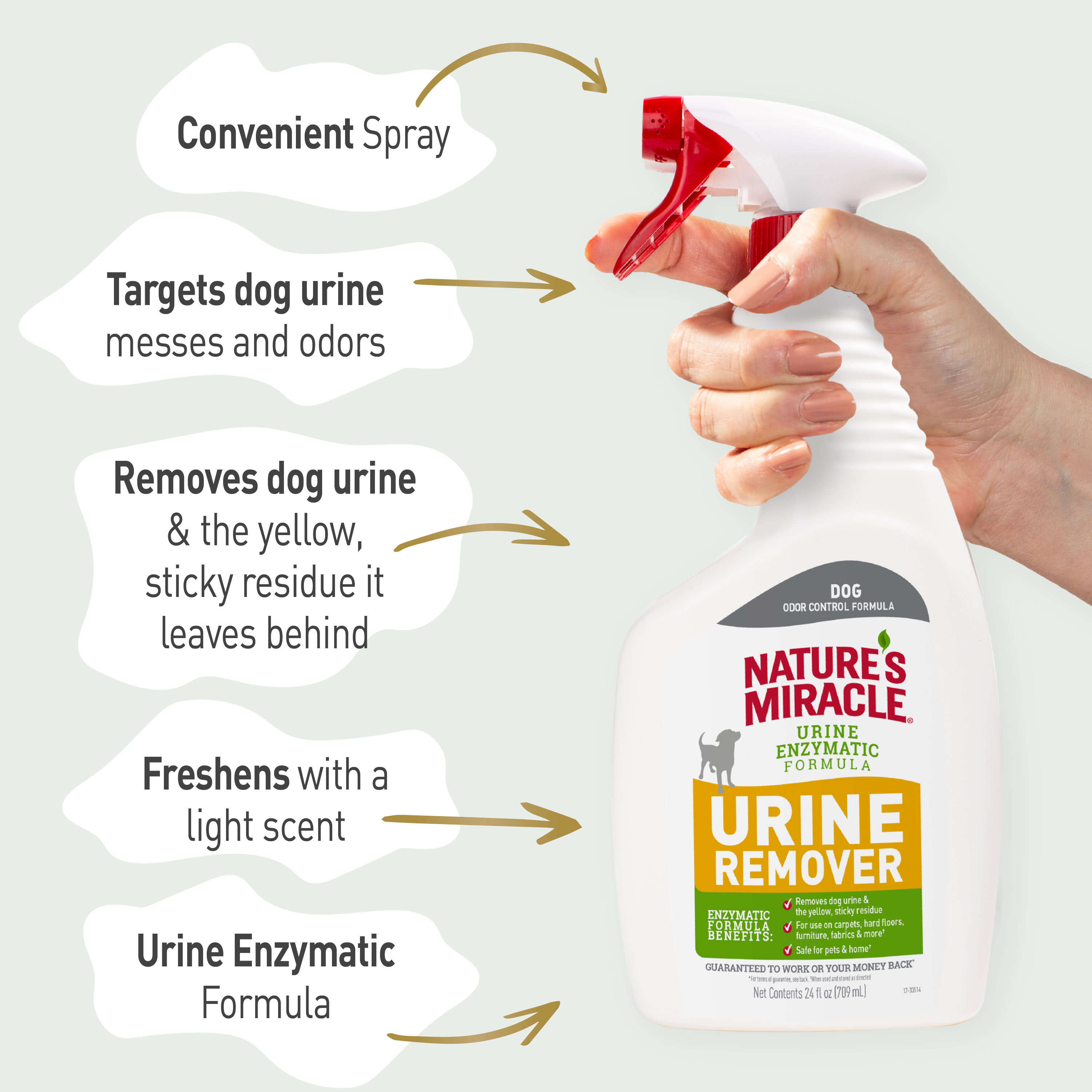 Puppy urine remover on sale